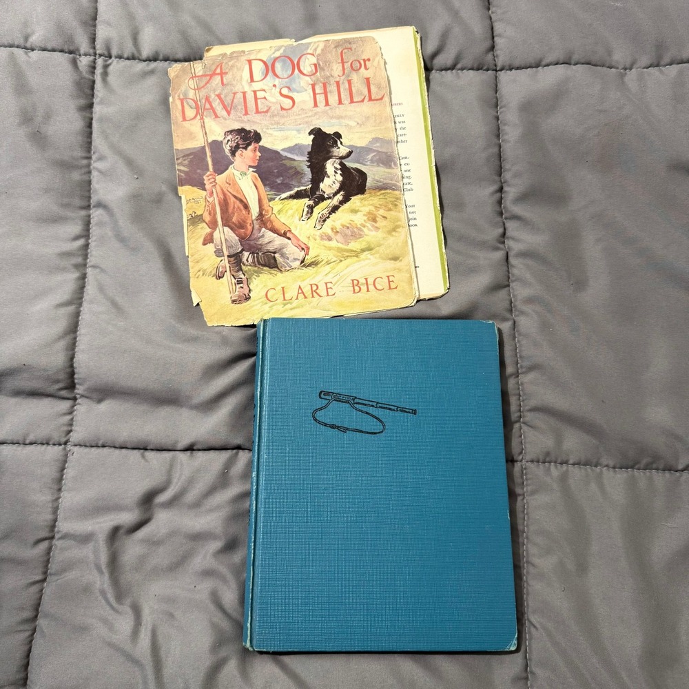 A Dog for Davie's Hill Clare Bice 1957 Weekly Reader Childrens Book Club Vintage